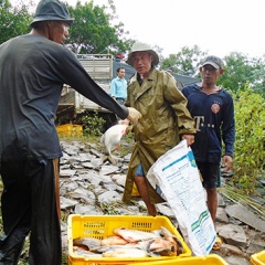 Bình Dương: Làm giàu từ nuôi cá nước ngọt